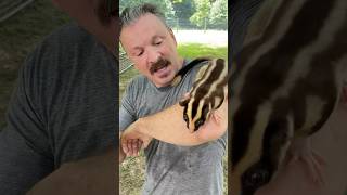 Do you know what animal this is?