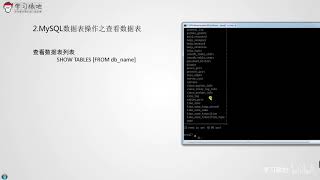 13 MySQL数据表操作之查看数据表