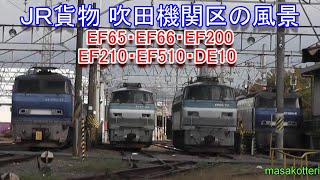 JR貨物 吹田機関区の風景（EF65・EF66-21,-26・EF200・EF210・EF510