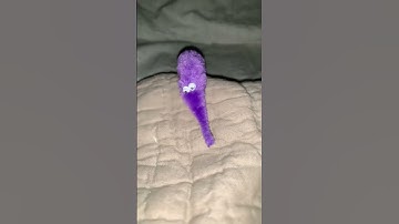 worm on a string doing a remake of my other short doing this! :3