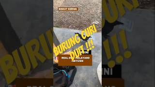 50 RINGGIT TUU😭 #subscribe 🎥zarulman#shortvideo #trendingshorts #youtubeshorts