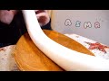 [ASMR] 長〜いマシュマロを食べる音 / Marshmallow Eating Sounds [咀嚼音]