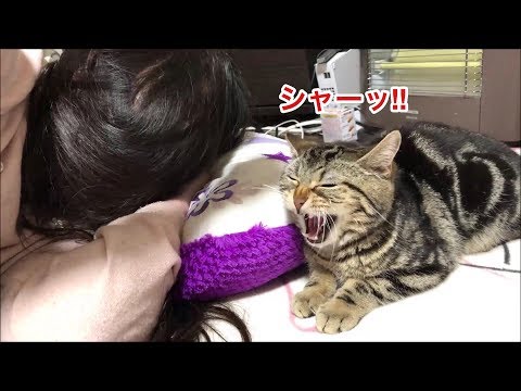 妹への愛が強すぎてブチギレを連発させてしまった猫ｗ