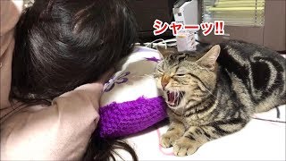 妹への愛が強すぎてブチギレを連発させてしまった猫ｗ