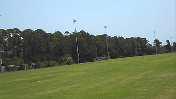 V450D01 - 3d / inverted flight at park