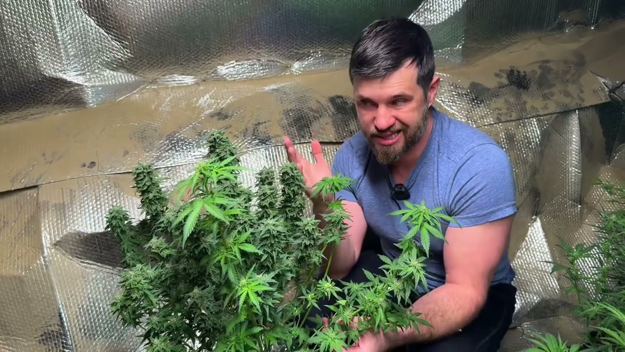 Вопрос к знатокам!