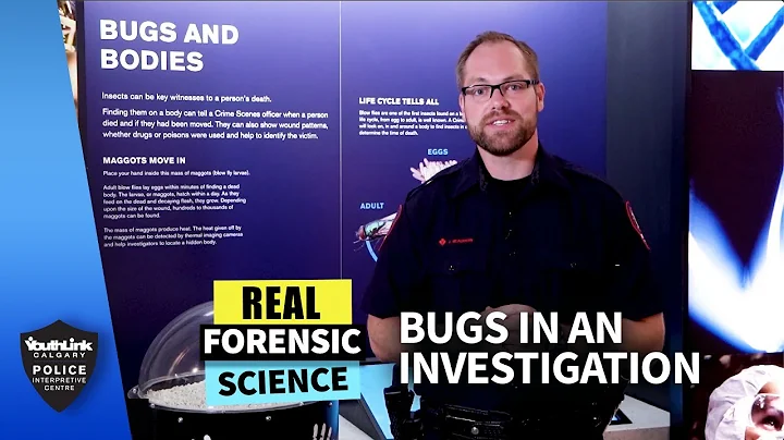 Real Forensic Science: Bugs in an Investigation