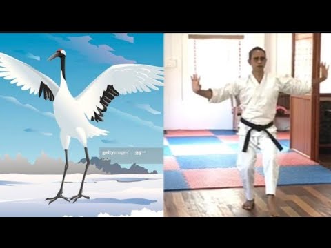 karate crane