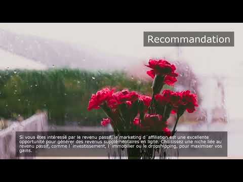 Comment démarrer le