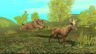 Wild Cougar Sim 3D Android Gameplay HD #3 screenshot 4