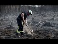 Лесные пожары в Германии, Греции и Турции: пока люди на шаг впереди