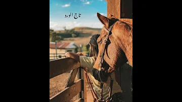 وش خانت العمر والايام من دونك علي بن محمد تصميم فيديوهات 