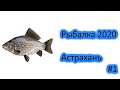 Рыбалка 2020 - Астрахань - Бушма - Яманцуг - Вылазка #1