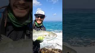 FVF® - Fuerteventura Fishing. Hard fight with a Serra! #fuerteventura #fishing #shorts