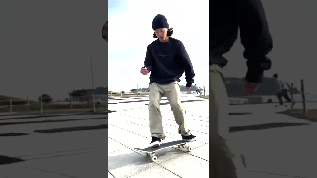 【SKATEBOARD】It's treflip traning . good dooooog !!