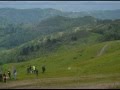 Campeonato Autonomico de perros de rastro sobre jabali ASTURIAS 2013