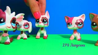 Lps Необычная Коллекция/ Littlest Pet Shop