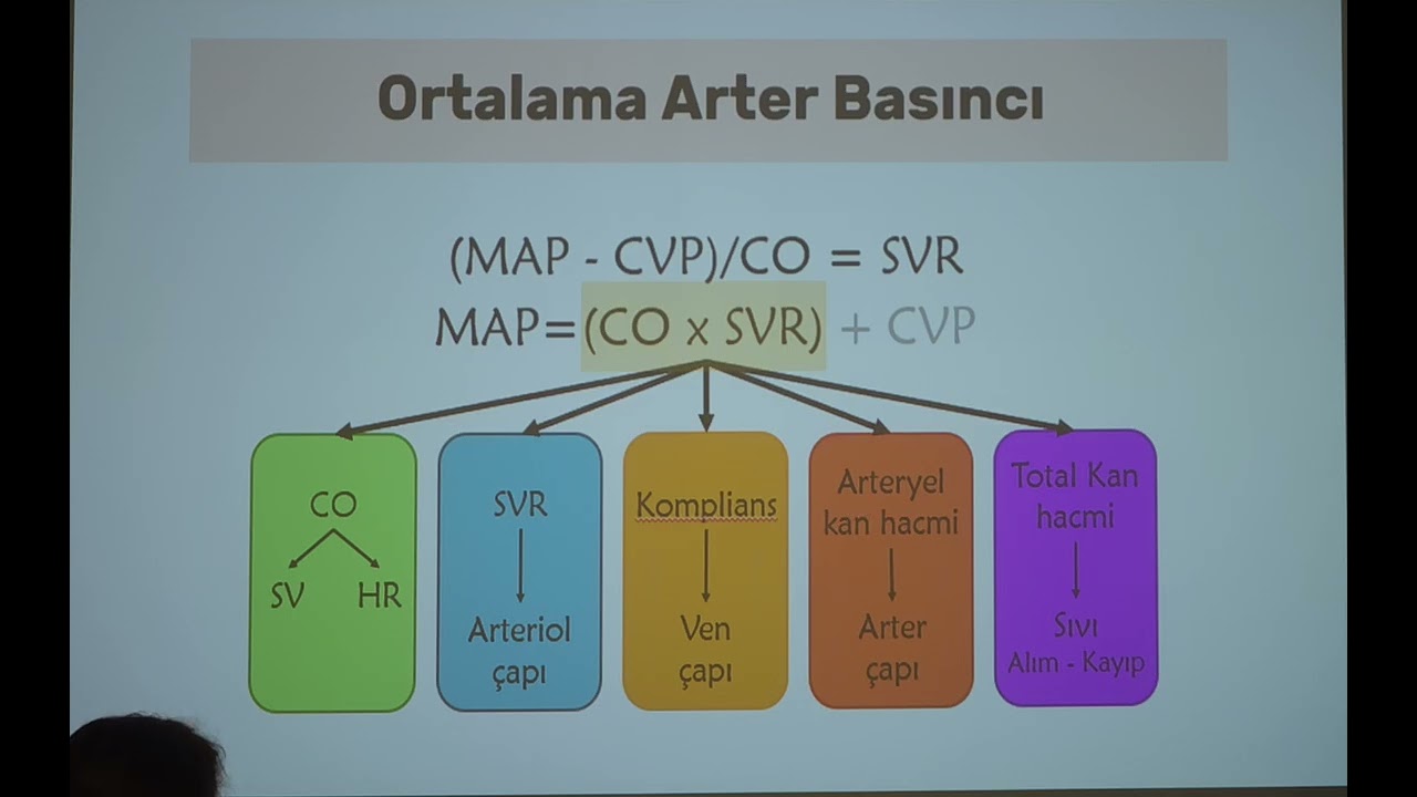 21.11.2025 Kardiyovasküler Hemodinami ( Aslı DEMİR)  Kan volümü ve sıvı yanıtlılığı(Aslıhan AYKUT) 