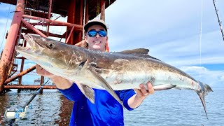 Oil Rig Fishing! Gulf of Mexico - Cobia - Catch Clean and Cook