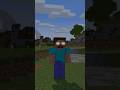 Don't just insult Steve ☠️ #fyp#animation #herobrine #video #minecraft #minecraftshorts