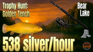 Trophy Hunt 🏆 | Golden Tench & Carp Spot 🎣 | Bear Lake RF4 screenshot 2