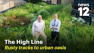 The High Line: How an abandoned rail line became a beloved NYC garden