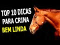 10 Dicas para cuidar da CRINA dos cavalos