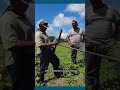 Los campesinos nicaragüenses que producen en tierra prestada