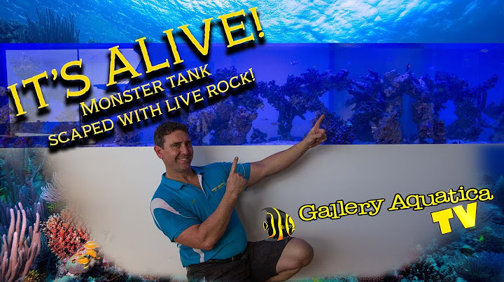 When 8 feet isn't enough! Absolute mammoth reef aquarium aquascaped with live rock