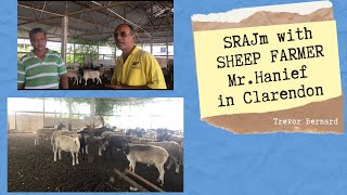 SHEEP FARMER in Clarendon Jamaica Mr.Hanief || SRAJm