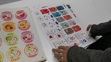 High end Vulcan NEW sheet fed label cutter SC350 introduction with servo motors and camera system