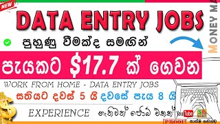 How to earn $17 per hour with remote data entry jobs with indeed Sinhala| work from home| SLTUTY