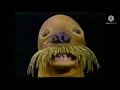 A walrus speaking facts idk