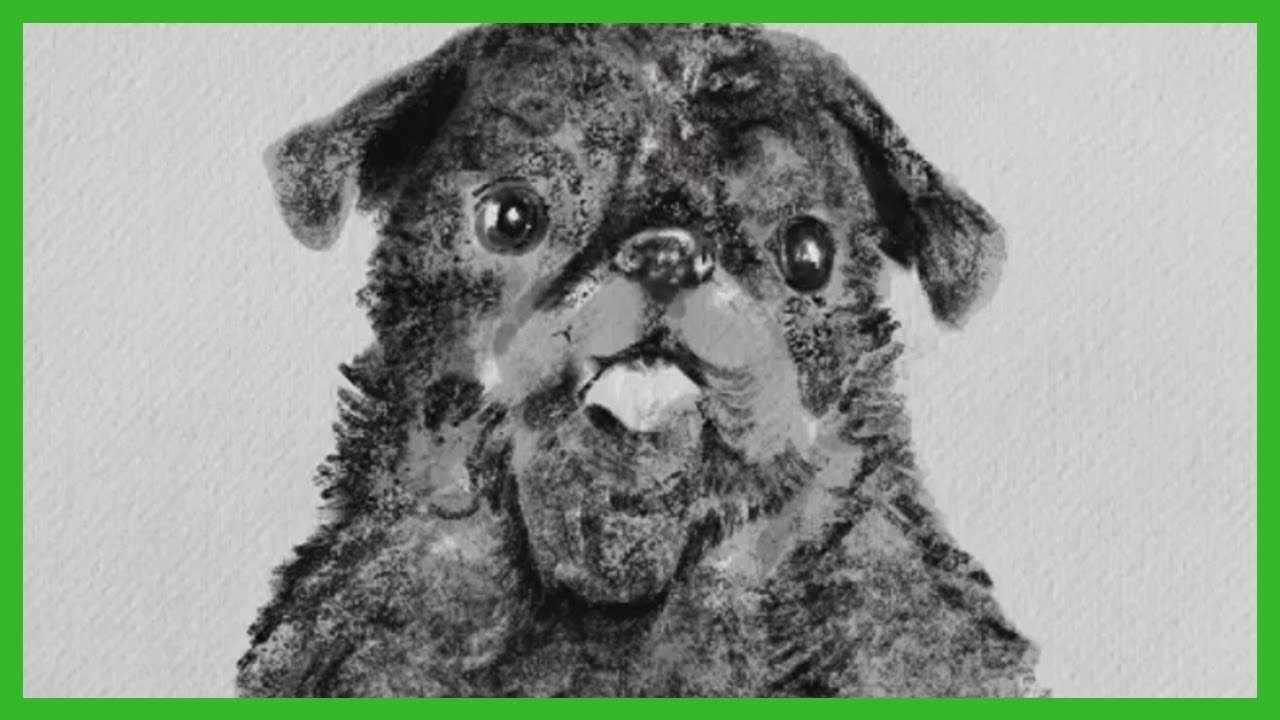 Drawing a Pug, artist collaboration! Timelapse