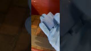 North American Three Cats Cleaning:  Slacking on the Job
