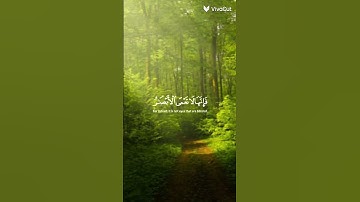 #اكسبلور #المصحف #duet قران كريم حالات واتساب