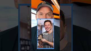 How the Rich Avoid Paying Taxes (Legally) #shorts #tax