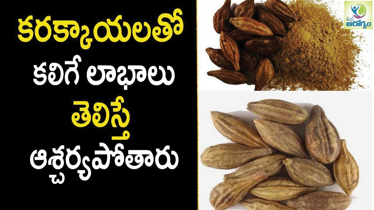 Karakkaya Harad Ayurvedic health benefits Health Tips in Telugu
