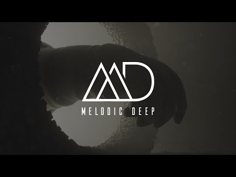 Erly Tepshi, Opposite Ways feat. Liam Guest - Shadows [Black Rose] | MELODIC TECHNO 2023