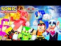 ZOMBIE Metal Shadow VS Sonic! | Minecraft Sonic The Hedgehog 2 | [164] Mp3 Song