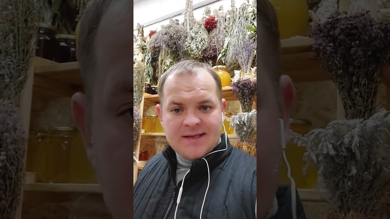 желчегонные травы