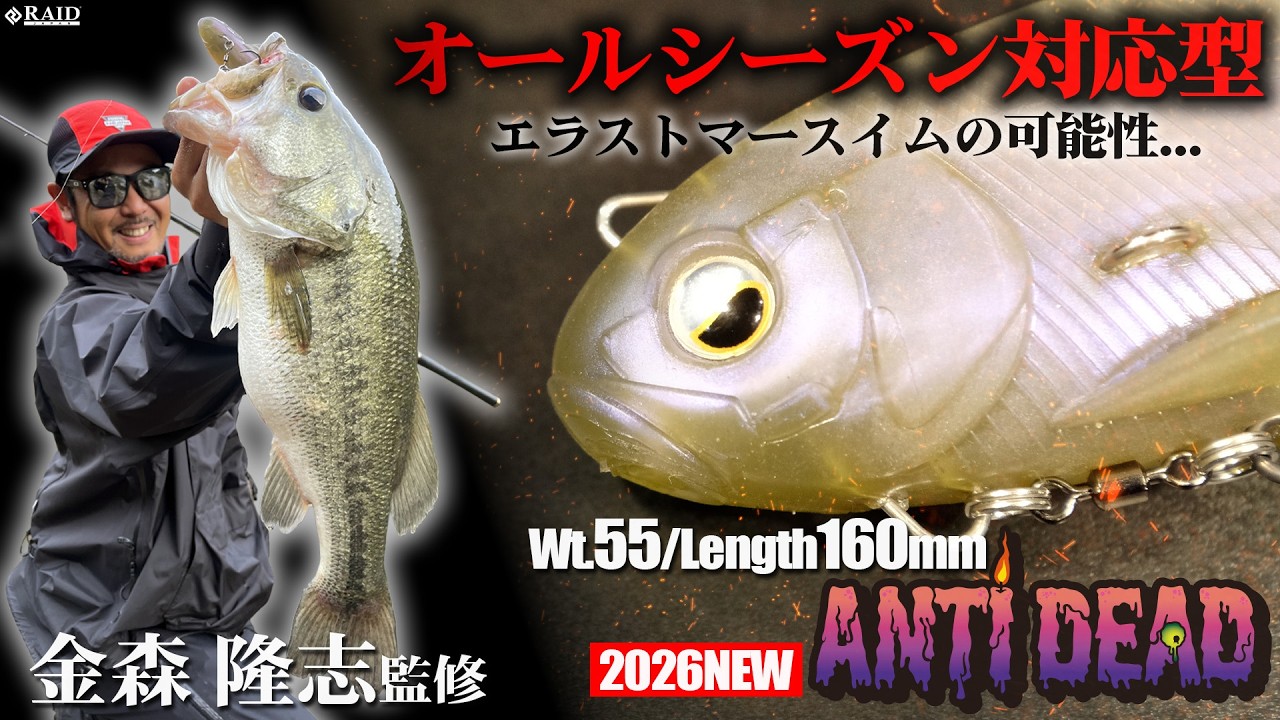 RAID バサクラ限定ダッチ KANAMORI/ カナモリ RAID JAPAN 2026 New Product] ANTIDEAD 