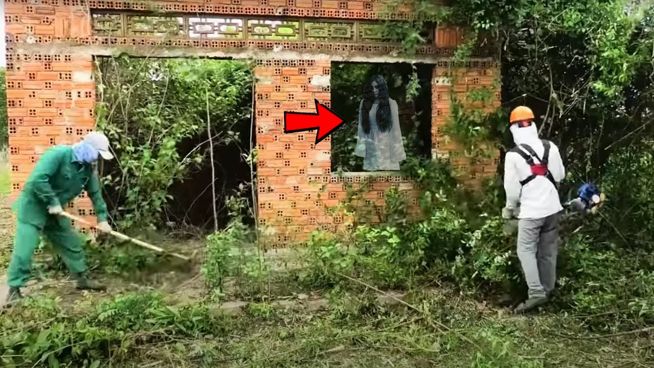 Horrifying Discovery Inside the Jungle Abandoned House – Hidden Door Reveals a Dark Secret! 😨🏡