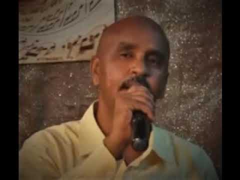 امير ميل والعازف عبد الخالق زنوبه 