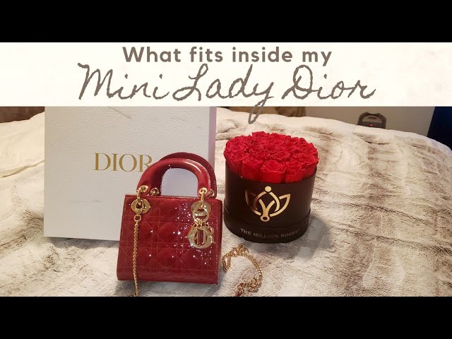 What REALLY fits inside a Mini Lady Dior Bag! 