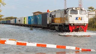 NEKAT TERJANG BANJIR ! KERETA API KONTAINER INI MELAWAN DERAS NYA ARUS AIR