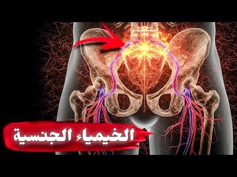 إذا اكتشفت هذا السر لن تعود كما كنت 