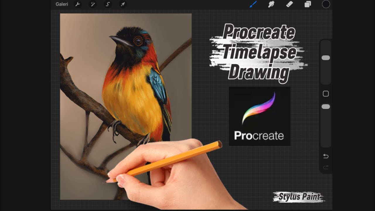 Timelapse Drawing Tutorial - YouTube