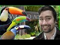 I FELL IN LOVE with TOUCANS Here as a kid! | A Tour of the Dallas World Aquarium.