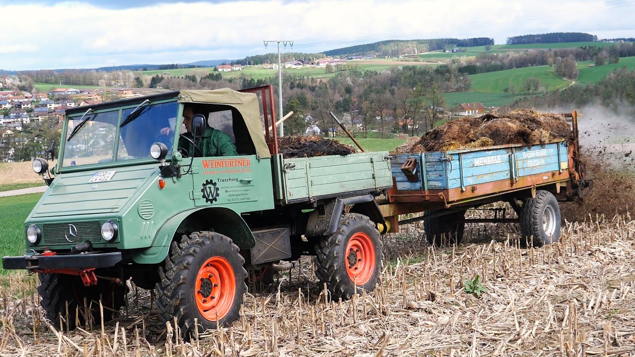 UNIMOG 411 beim Mistfahren